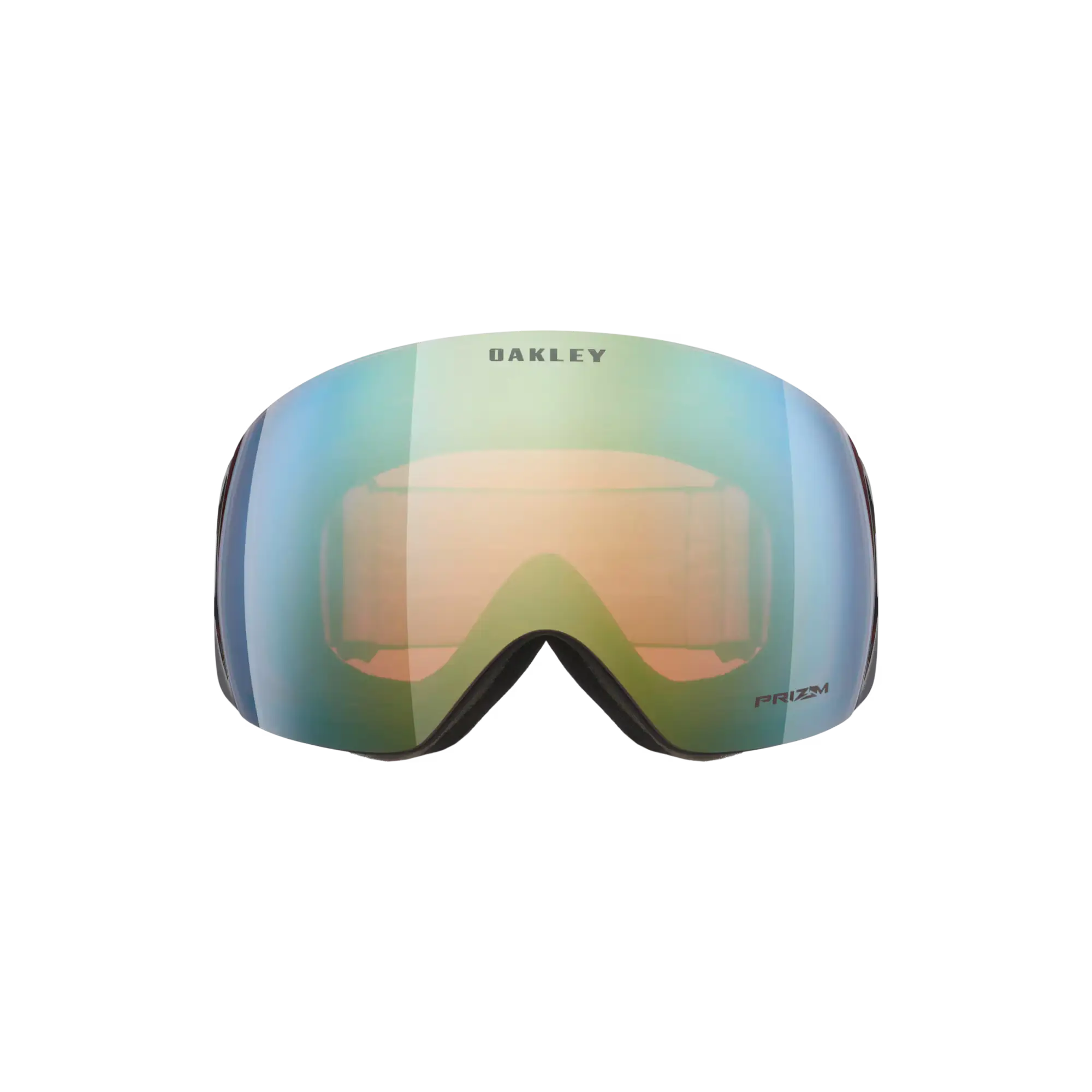 Oakley Flight Deck L Snow Goggles
