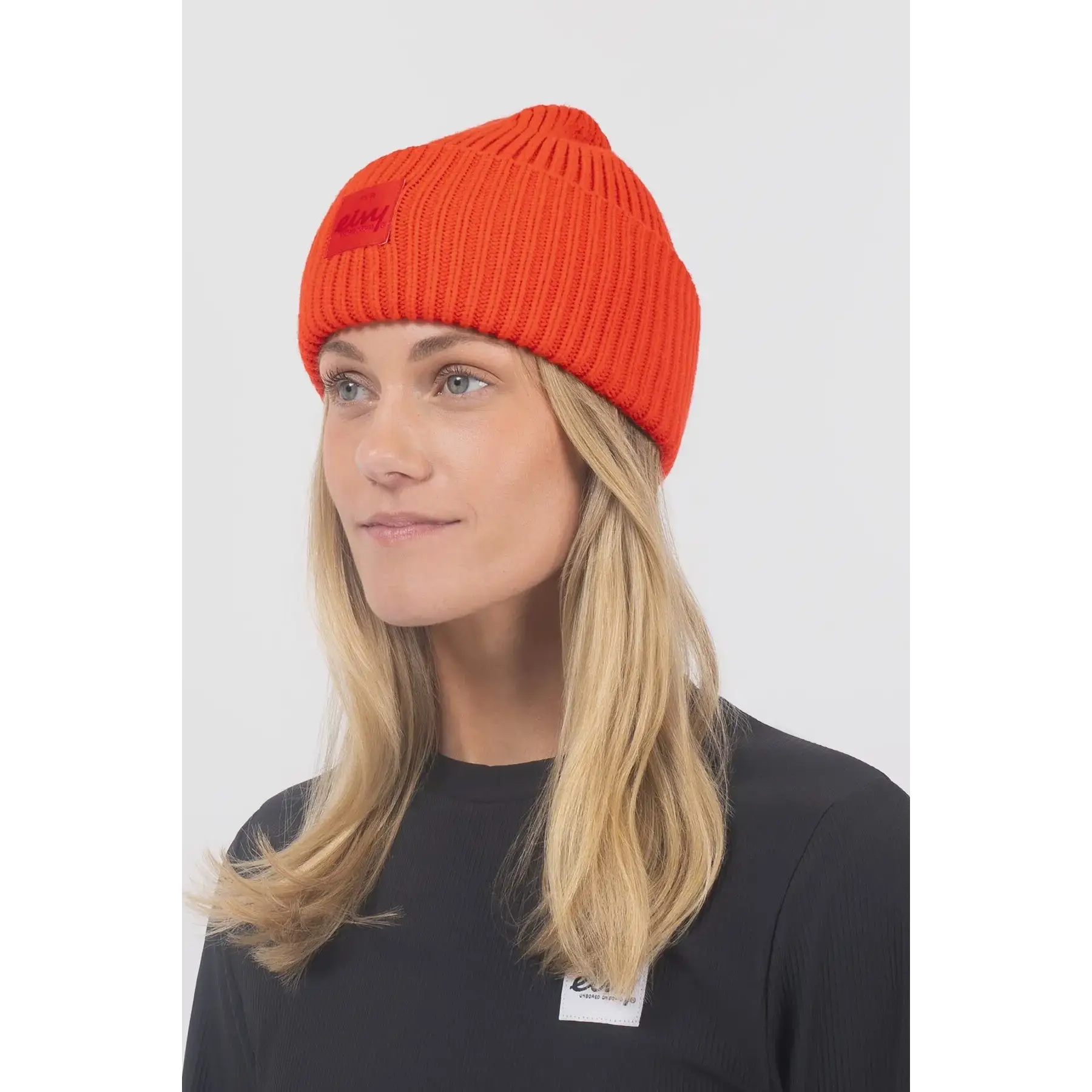 Eivy Tonal Beanie