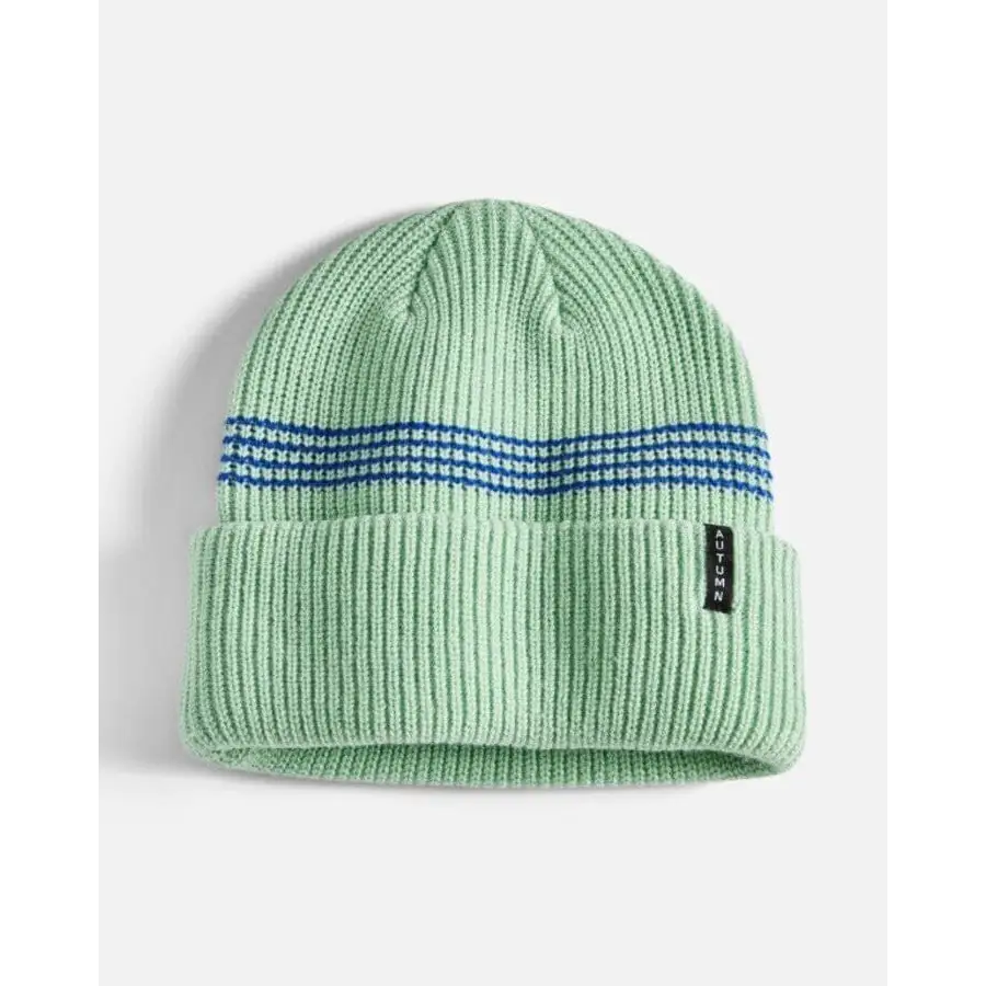 Autumn Mini Stripe Beanie 2025