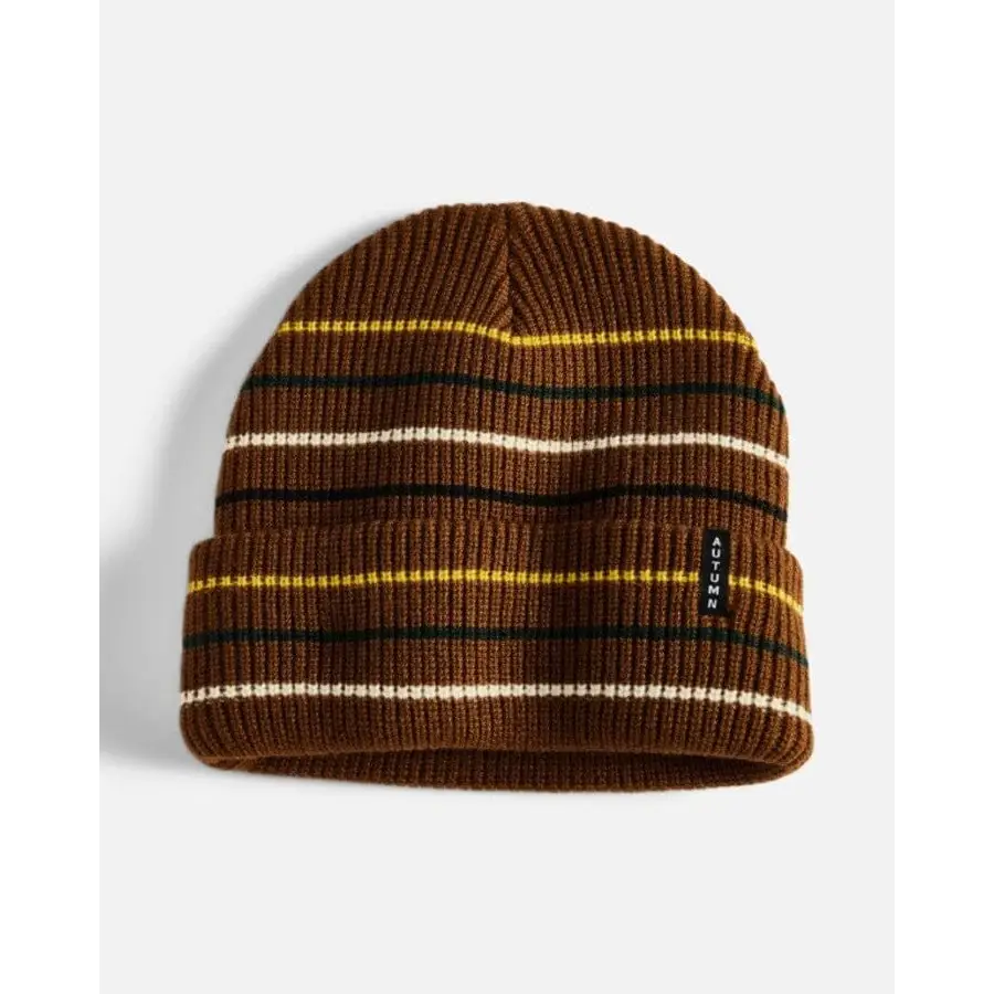 Autumn Multi Stripe Beanie 2025
