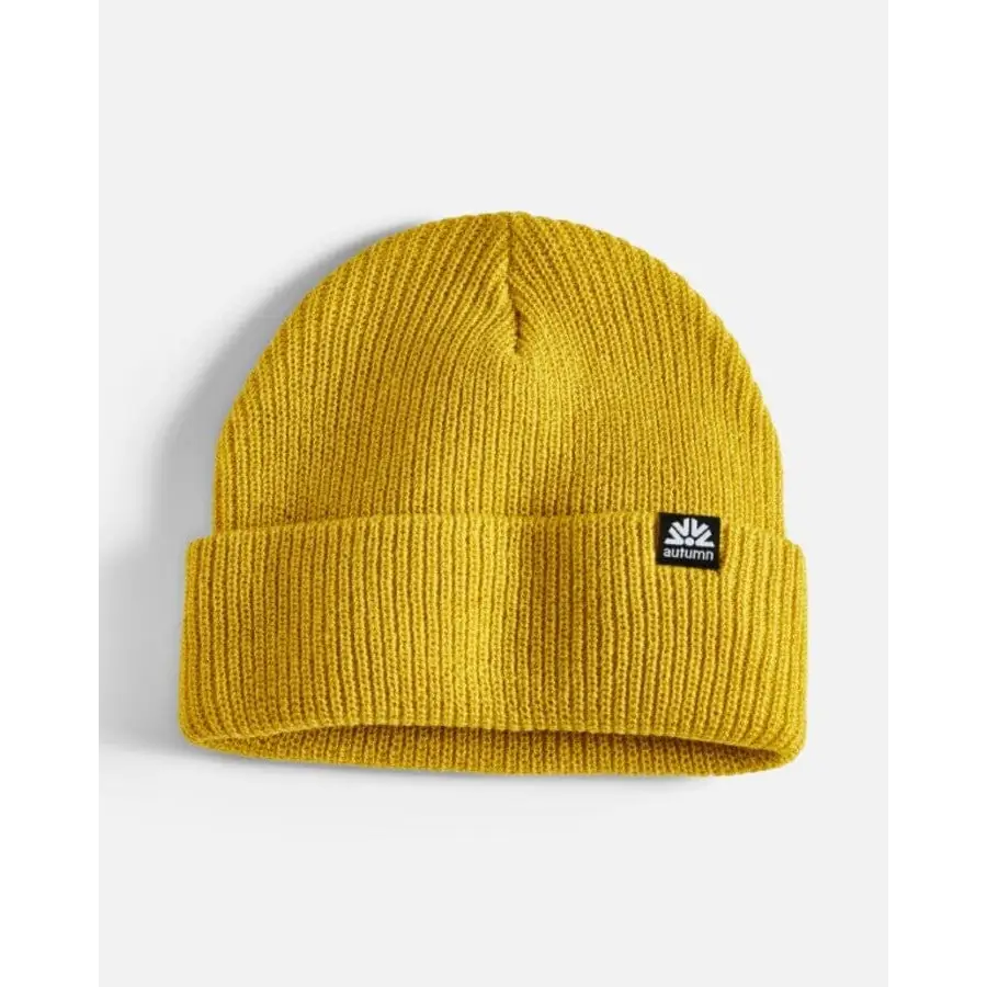 Autumn Simple Beanie