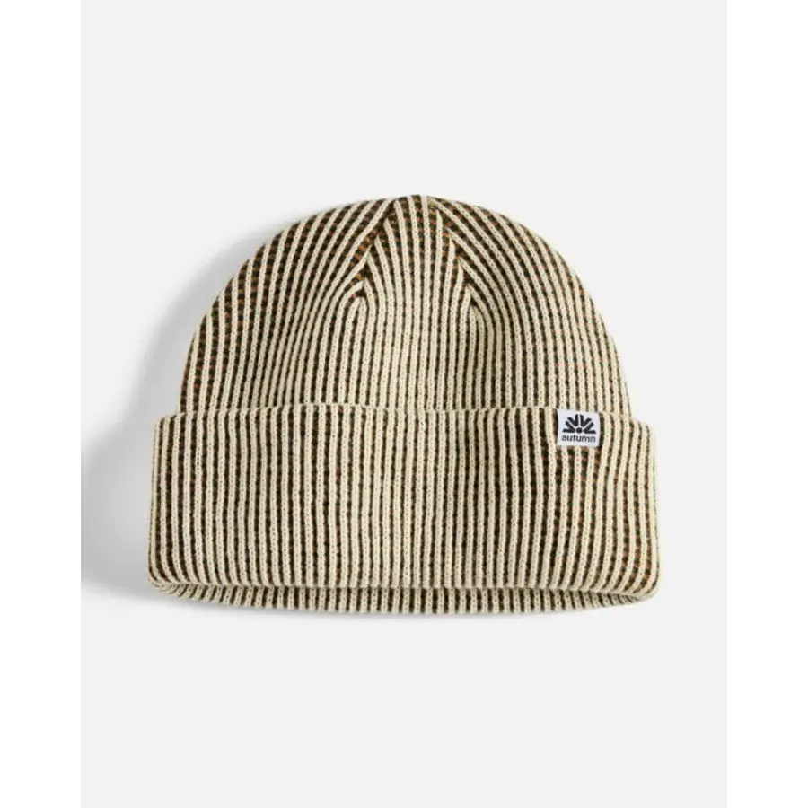 Autumn Static Beanie