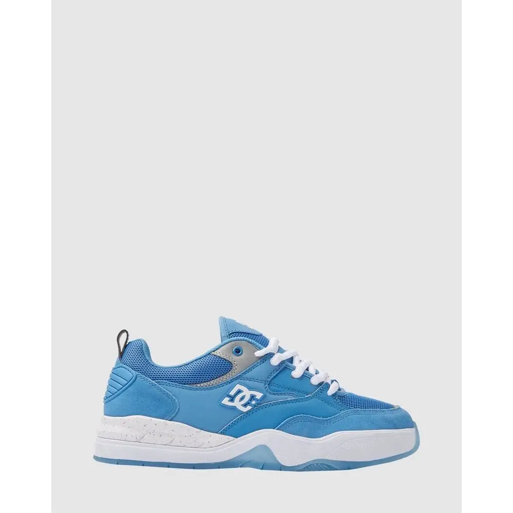 DC Ascend S Shoes