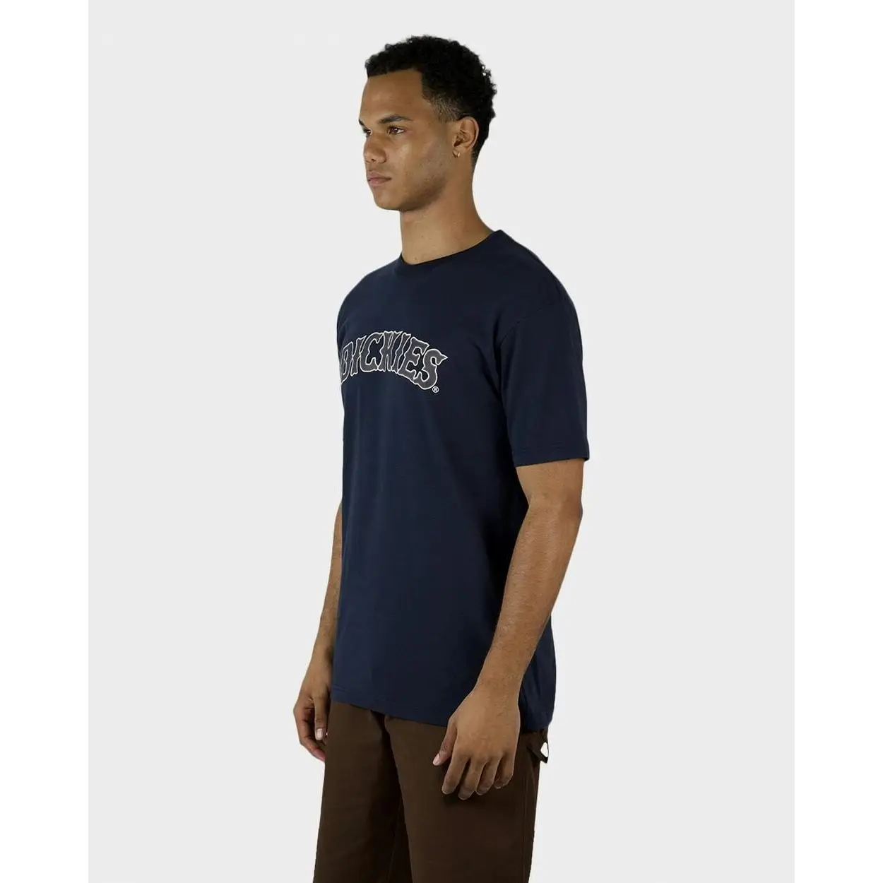 Dickies Old Saloon Regular Fit T-Shirt