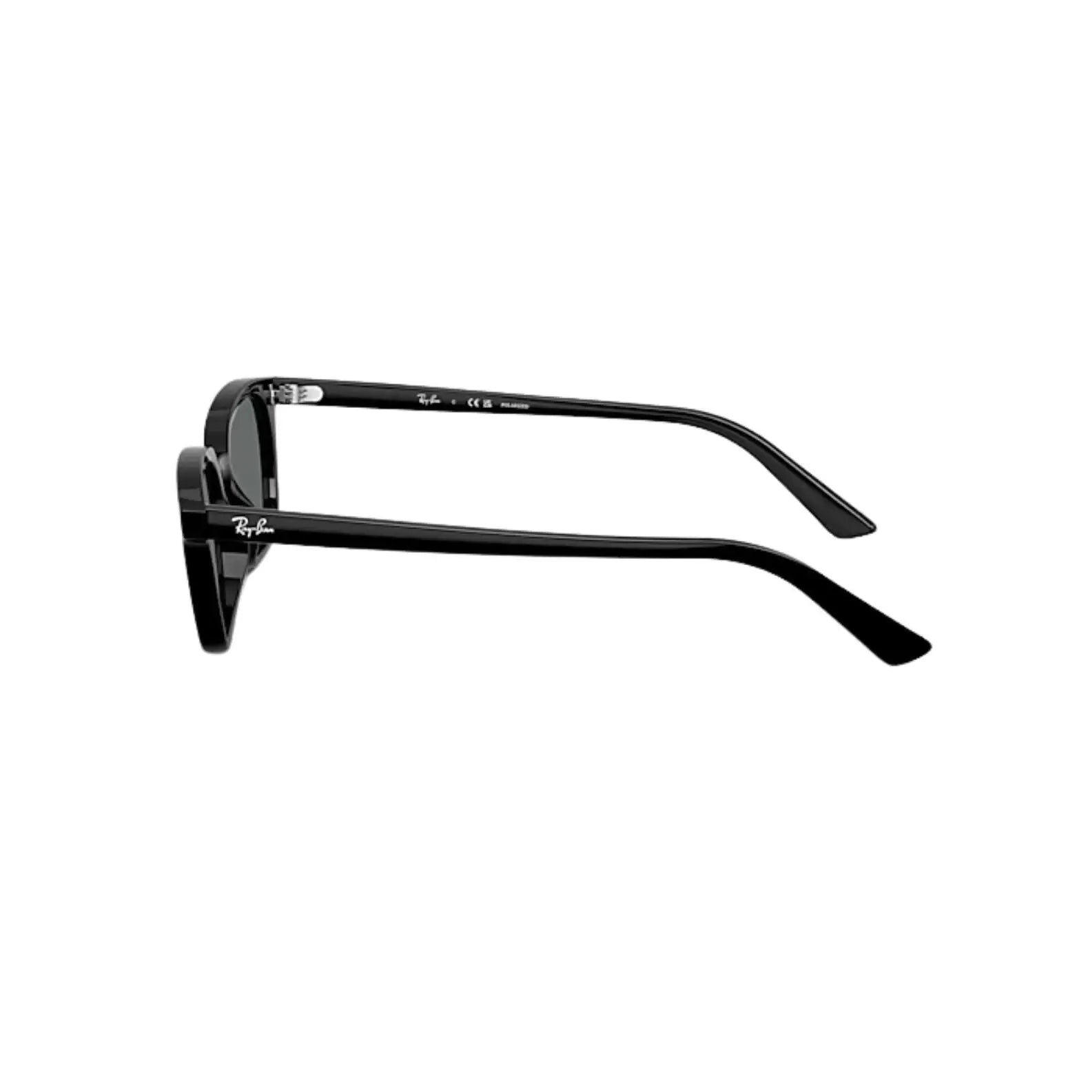 Ray-Ban Zaya Polarised Sunglasses
