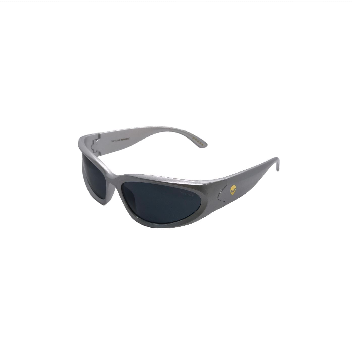 Fortune Visitor Sunglasses