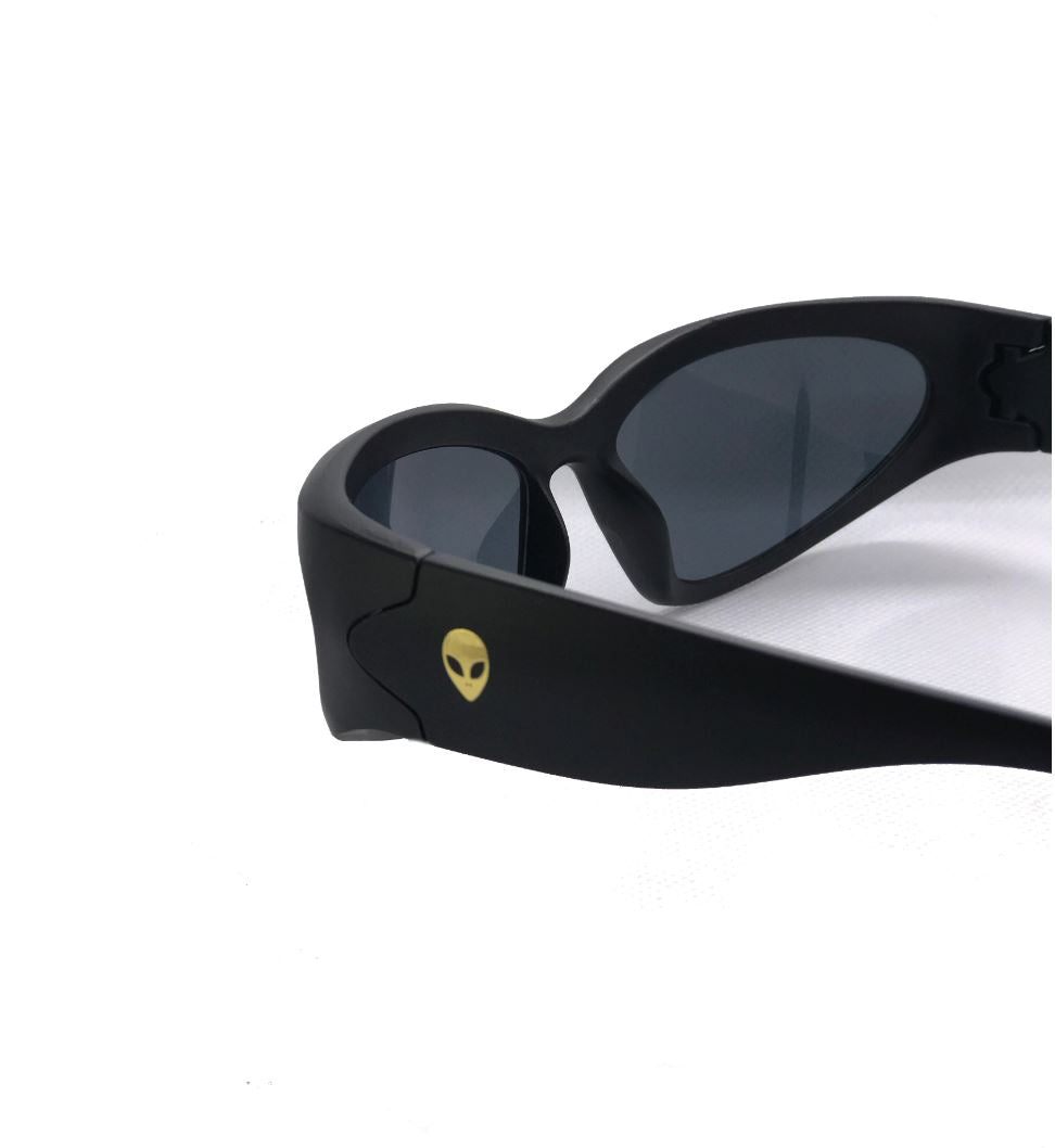 Fortune Visitor Sunglasses