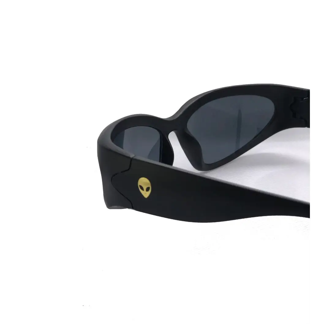 Fortune Visitor Sunglasses