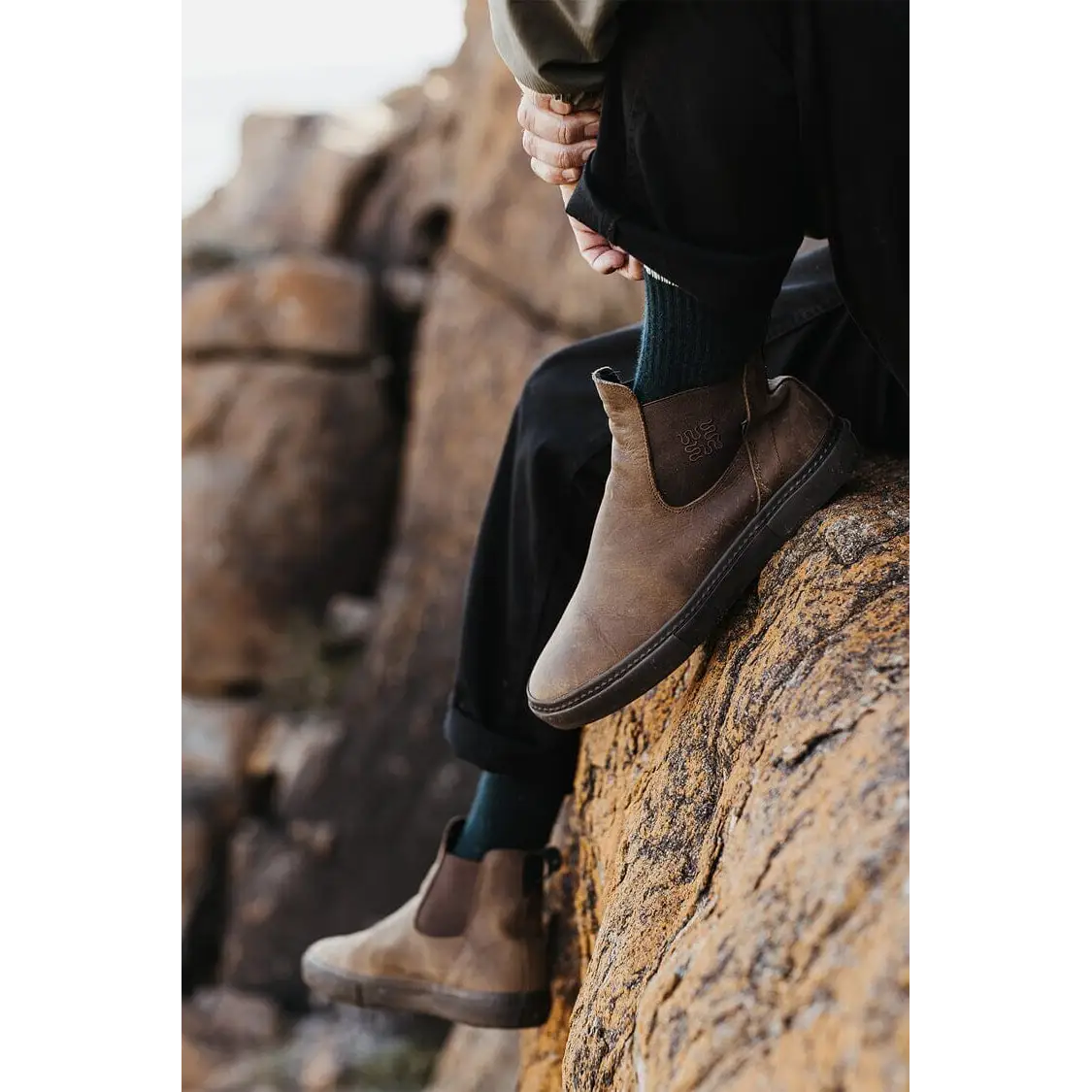 Globe Dover II Shoes - Dark Brown / Wasted Talent