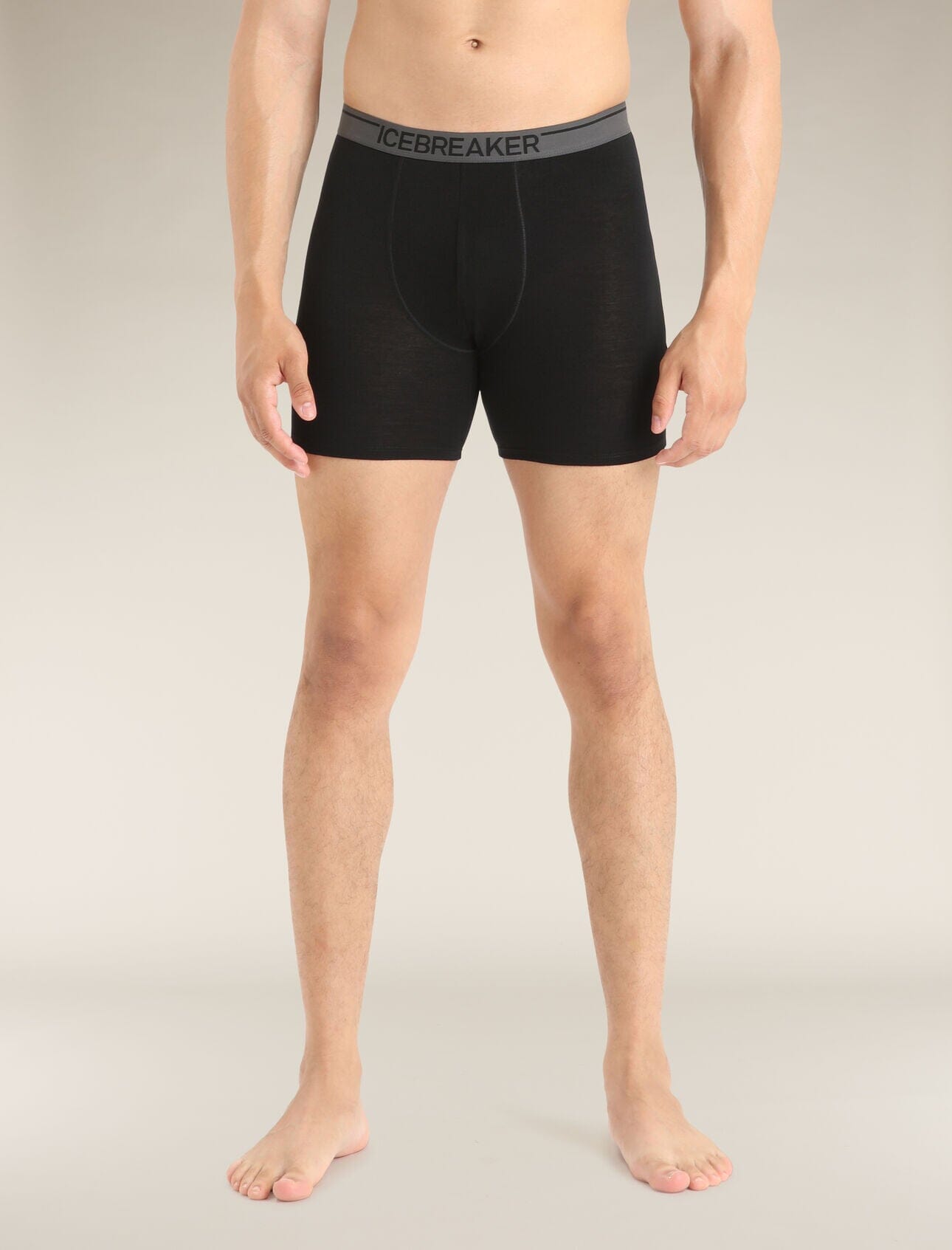 Icebreaker Merino 150 Anatomica Long Boxers