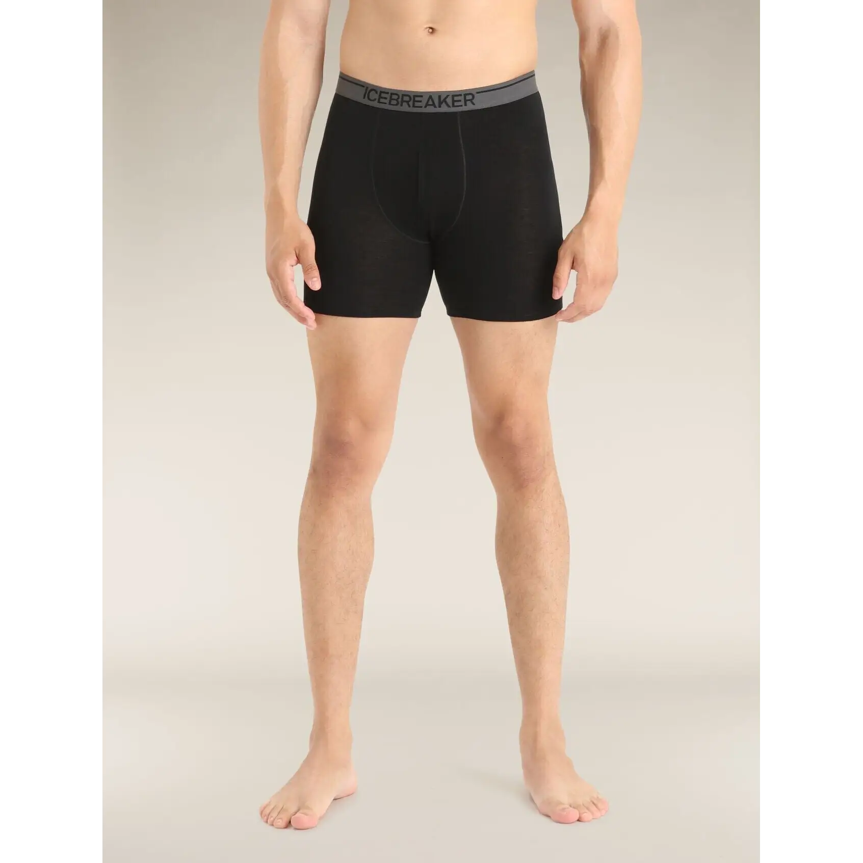 Icebreaker Merino 150 Anatomica Long Boxers 2025