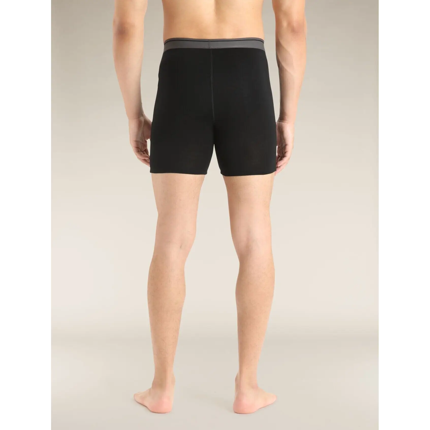 Icebreaker Merino 150 Anatomica Long Boxers 2025