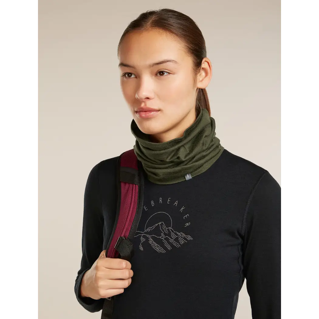 Icebreaker Merino 200 Oasis Flexi Chute