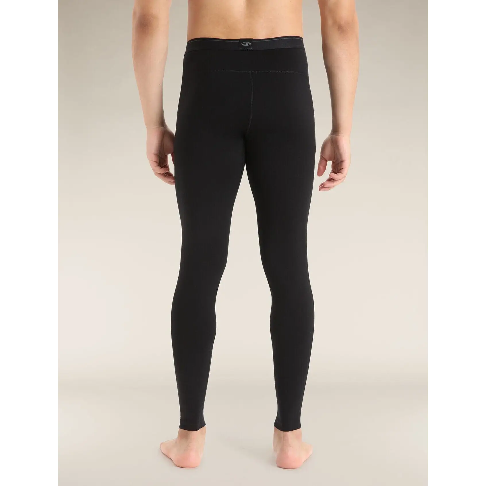 Icebreaker Merino 260 Tech Leggings 2025