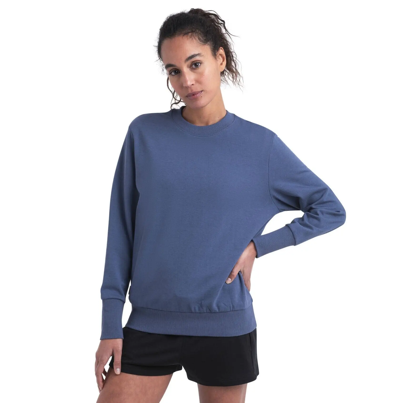 Icebreaker Womens Central II Long Sleeve Sweatshirt 2024