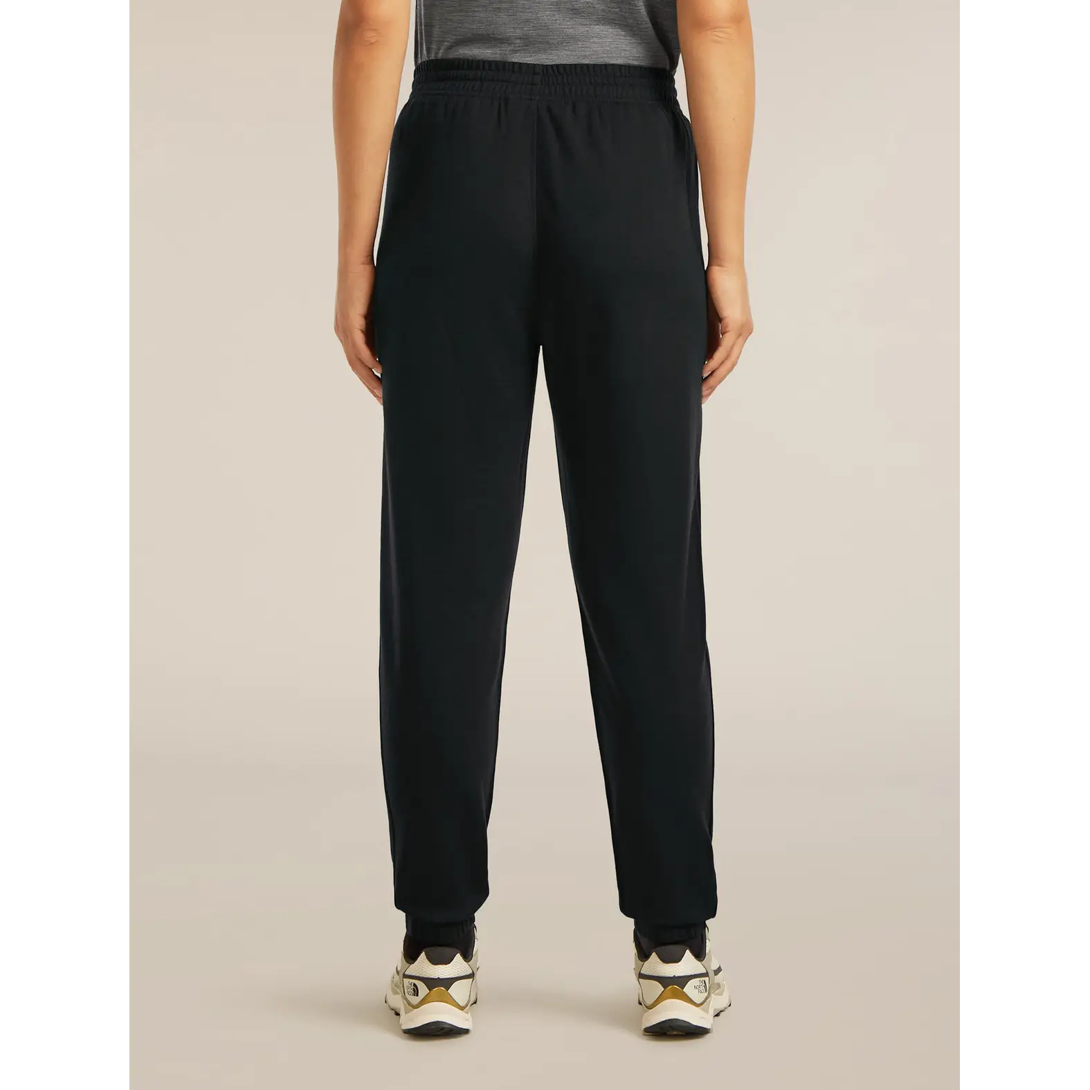 Icebreaker Womens Merino Blend 150 Drift Pants