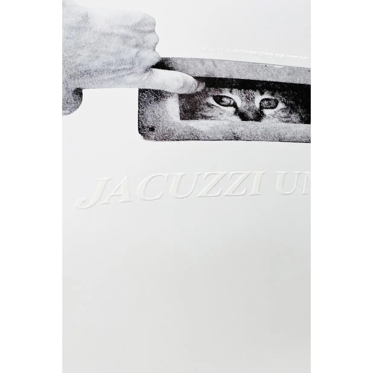 Jacuzzi The Musical Deck