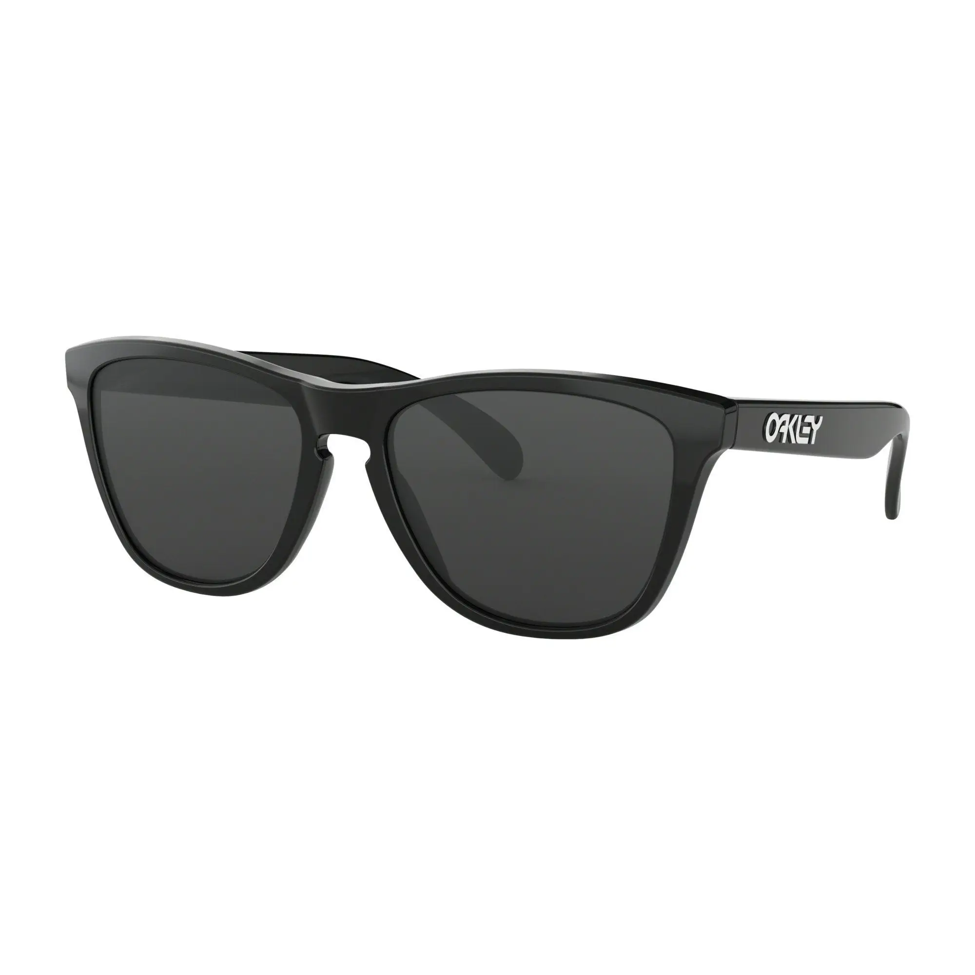 Oakley Frogskins Polarised Sunglasses