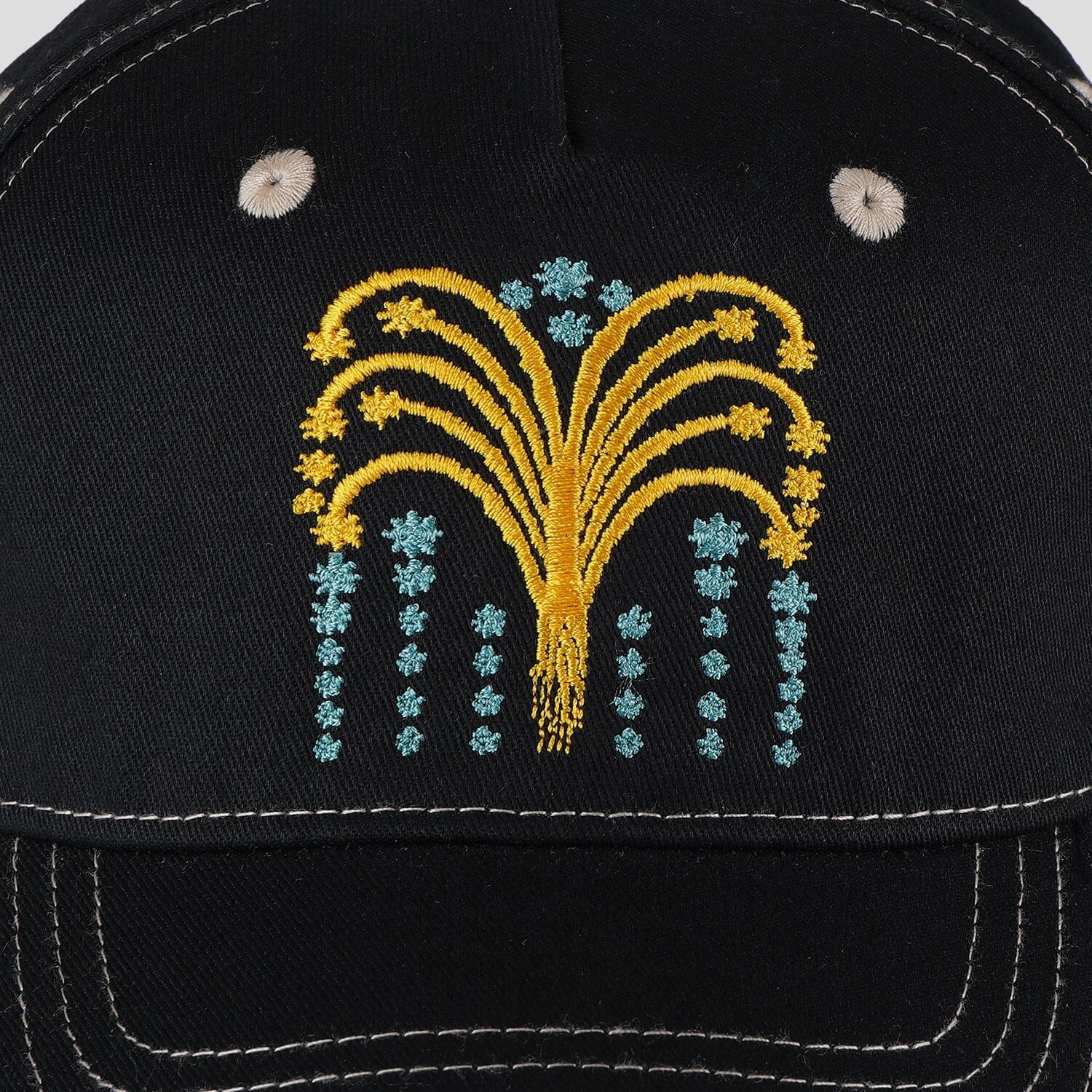 Passport Roman Candle Packers Cap