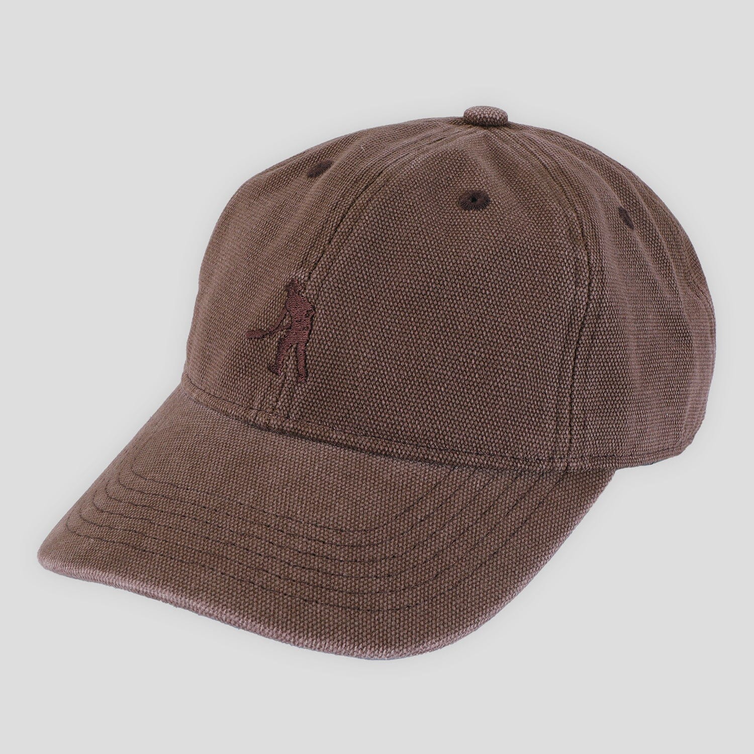 Passport Solid Canvas Leagues Cap
