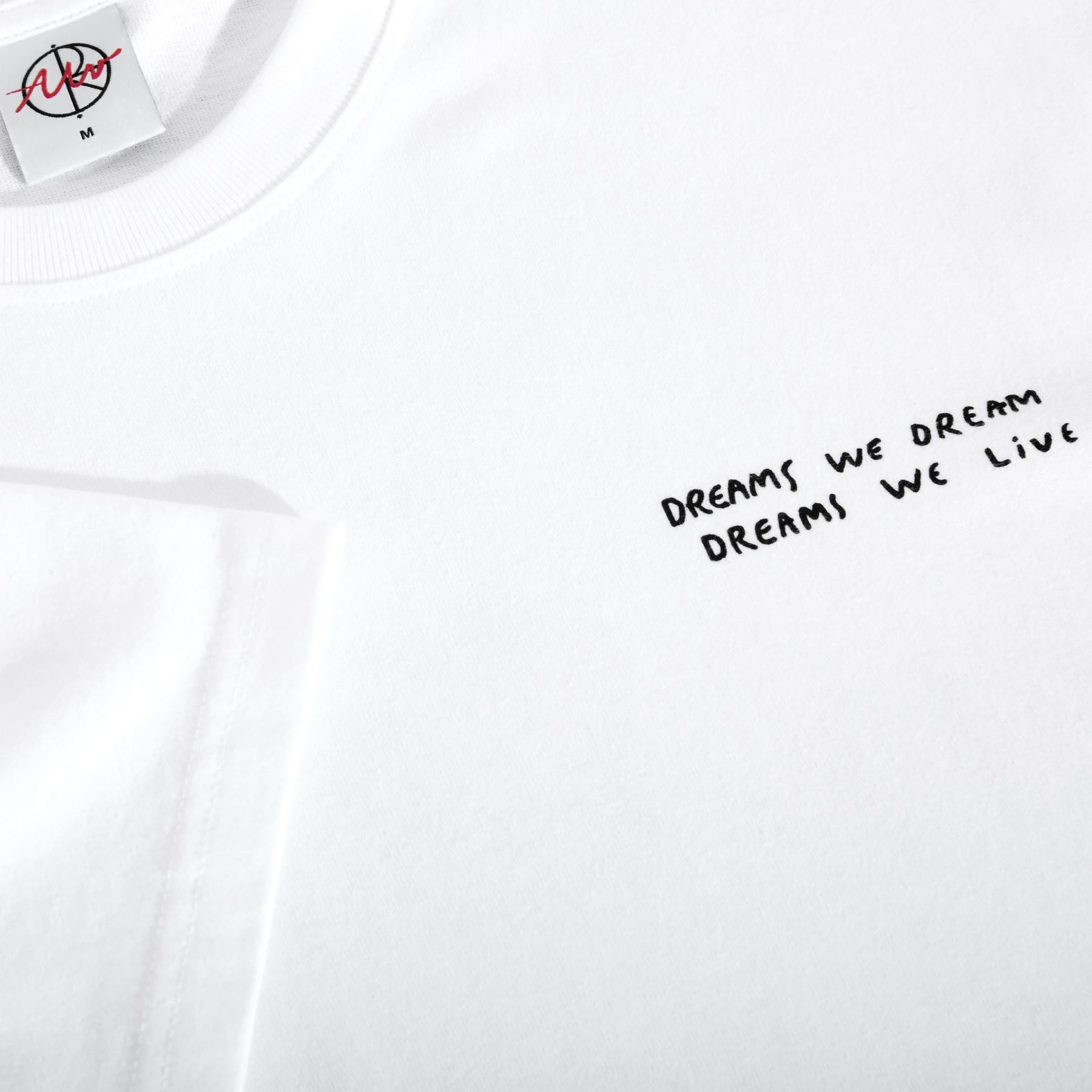Polar Dreams We Dream T-Shirt
