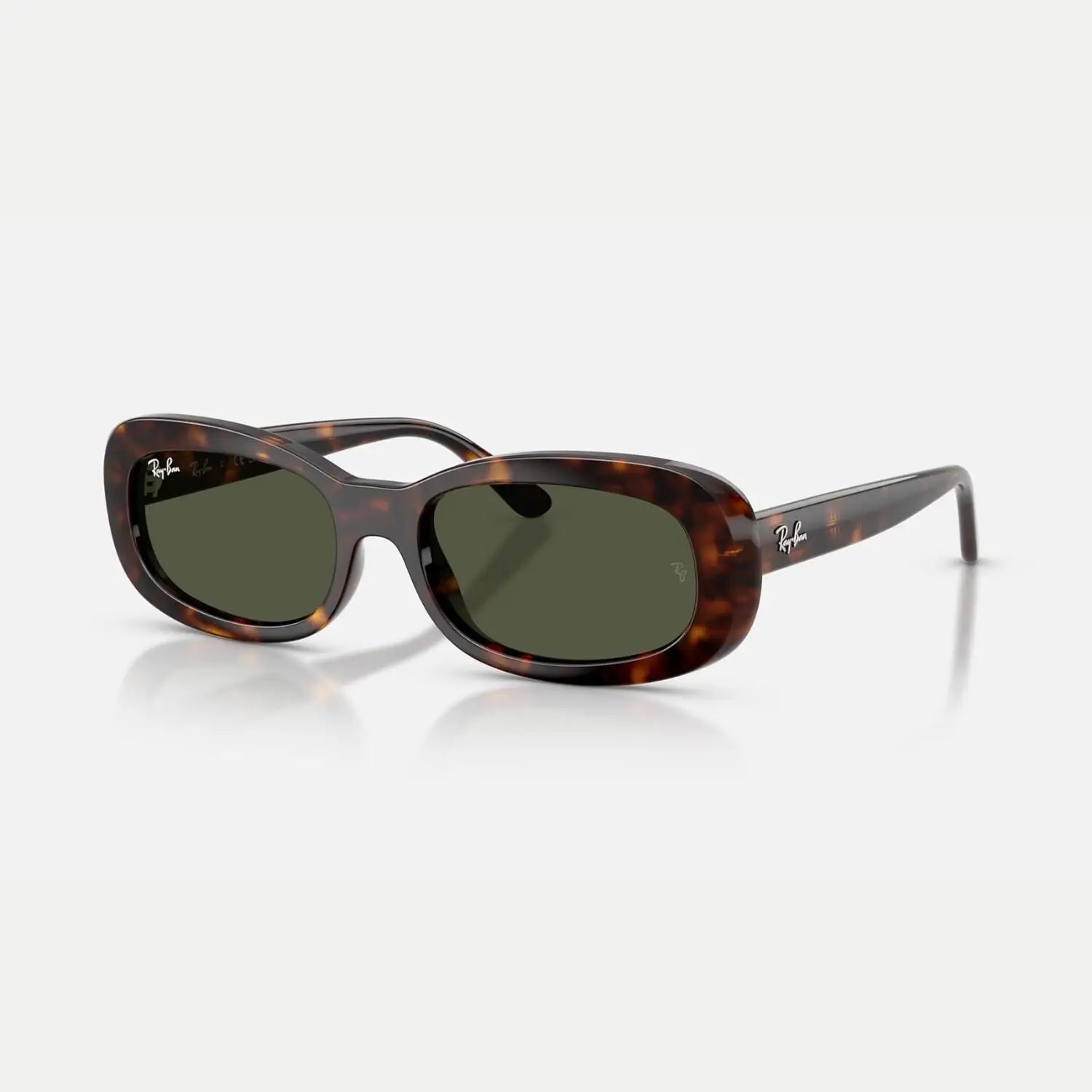 Ray-Ban 0RB2221 Sunglasses