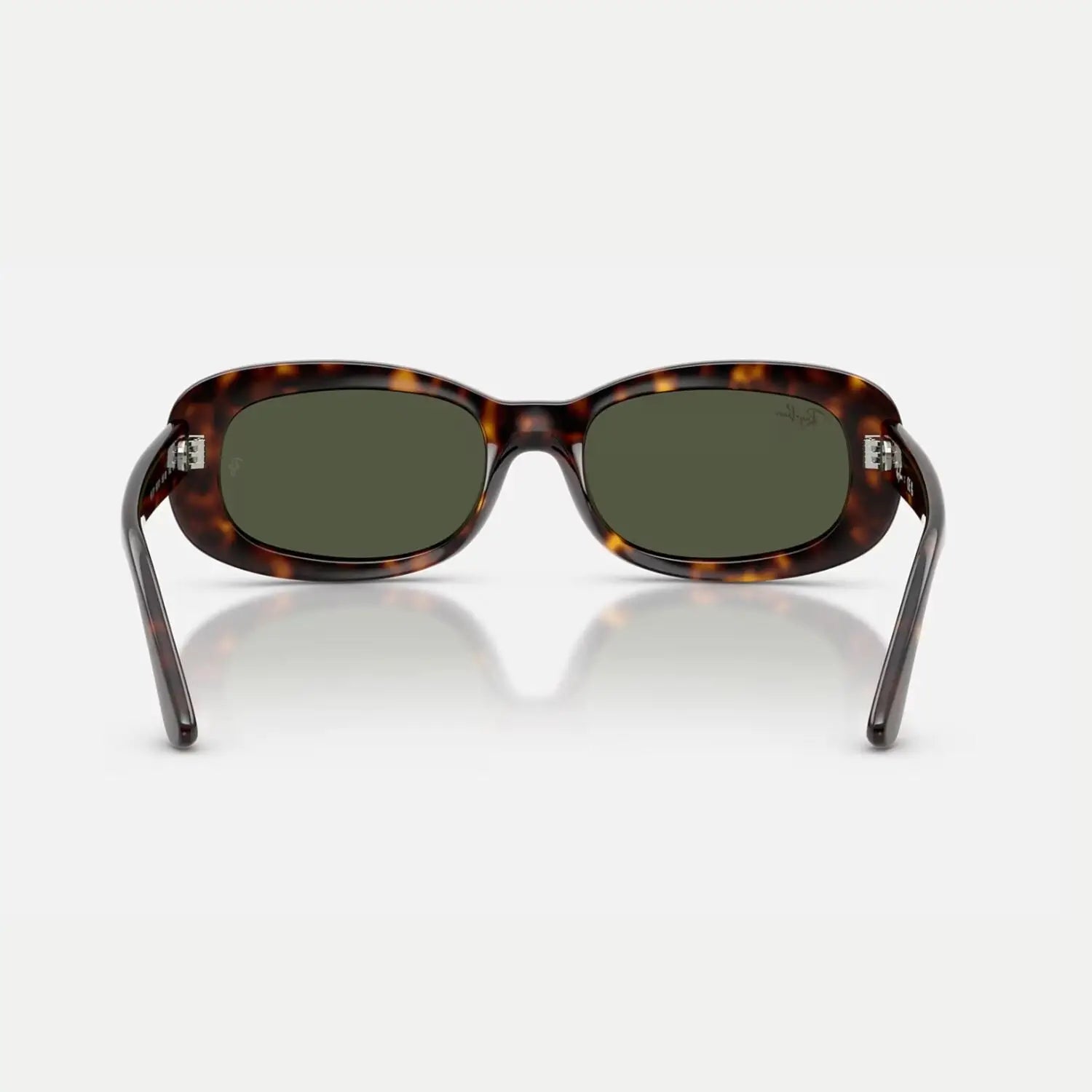Ray-Ban 0RB2221 Sunglasses