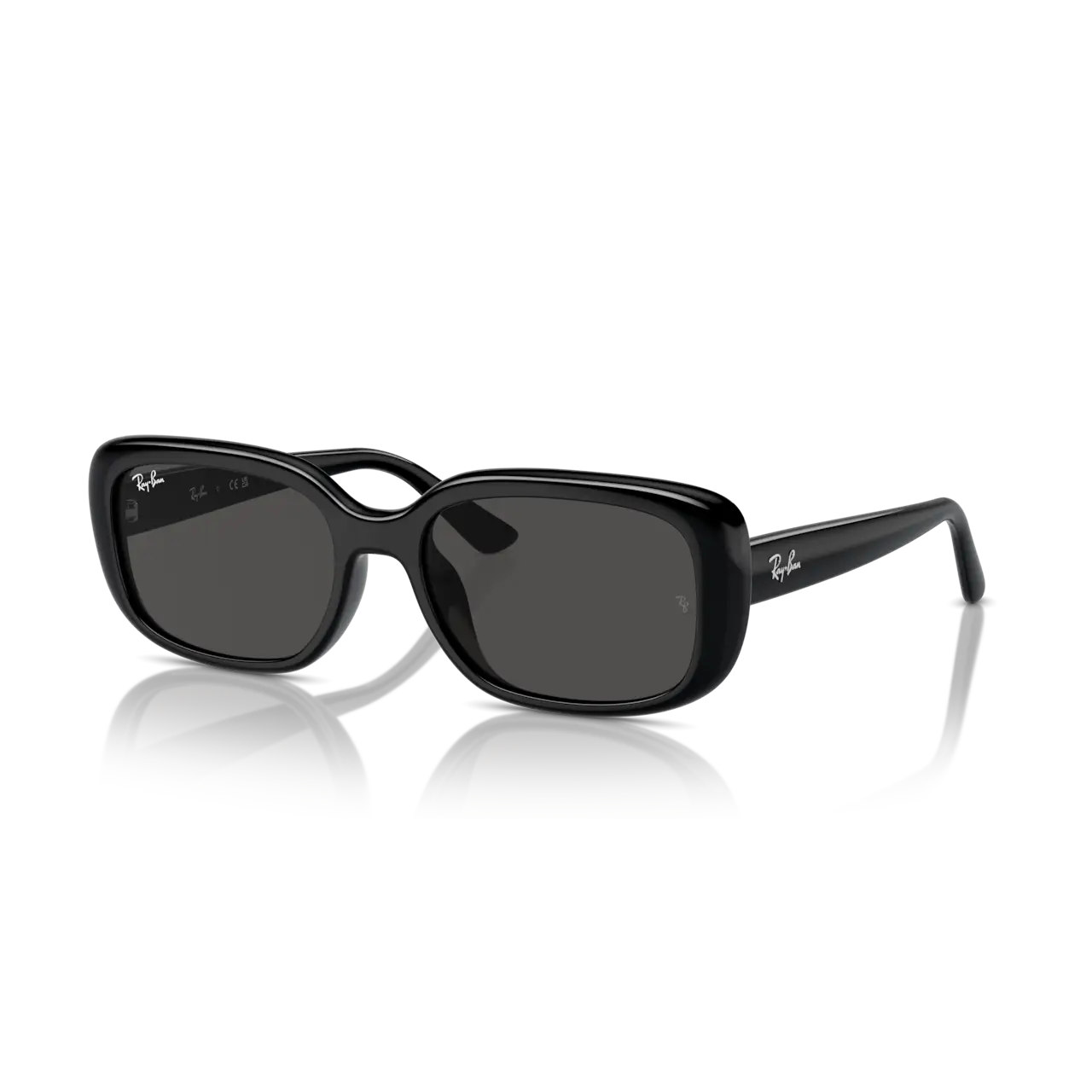 Ray-Ban 0RB4421D Sunglasses