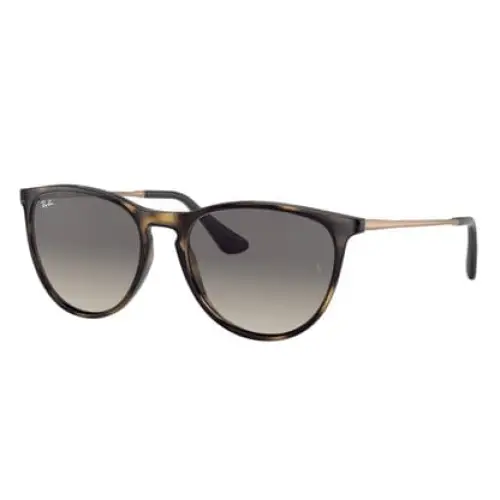 Ray-Ban Erika Polarised Sunglasses