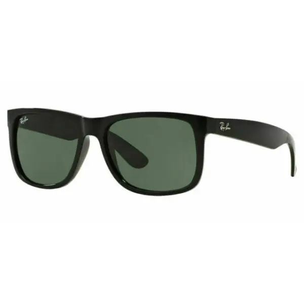 Ray-Ban Justin Sunglasses