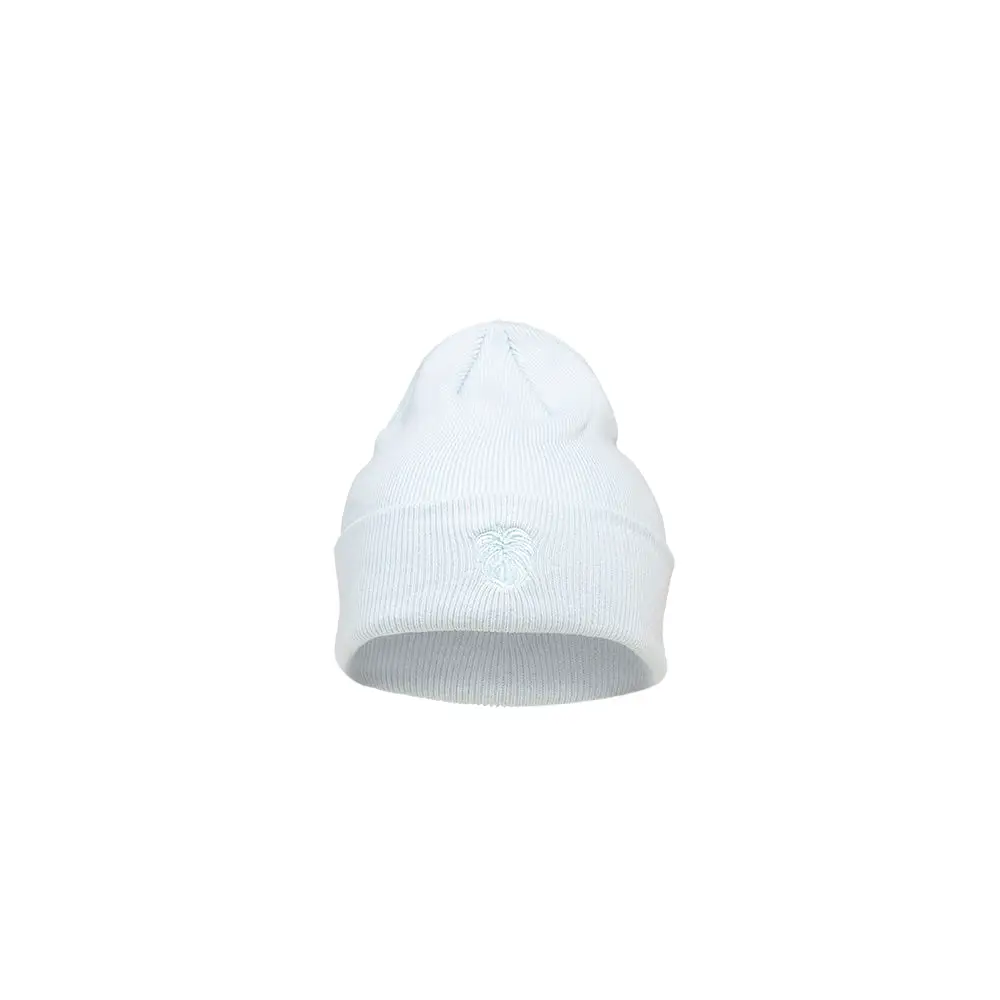 Spacecraft Arboreal Beanie Dusty Blue