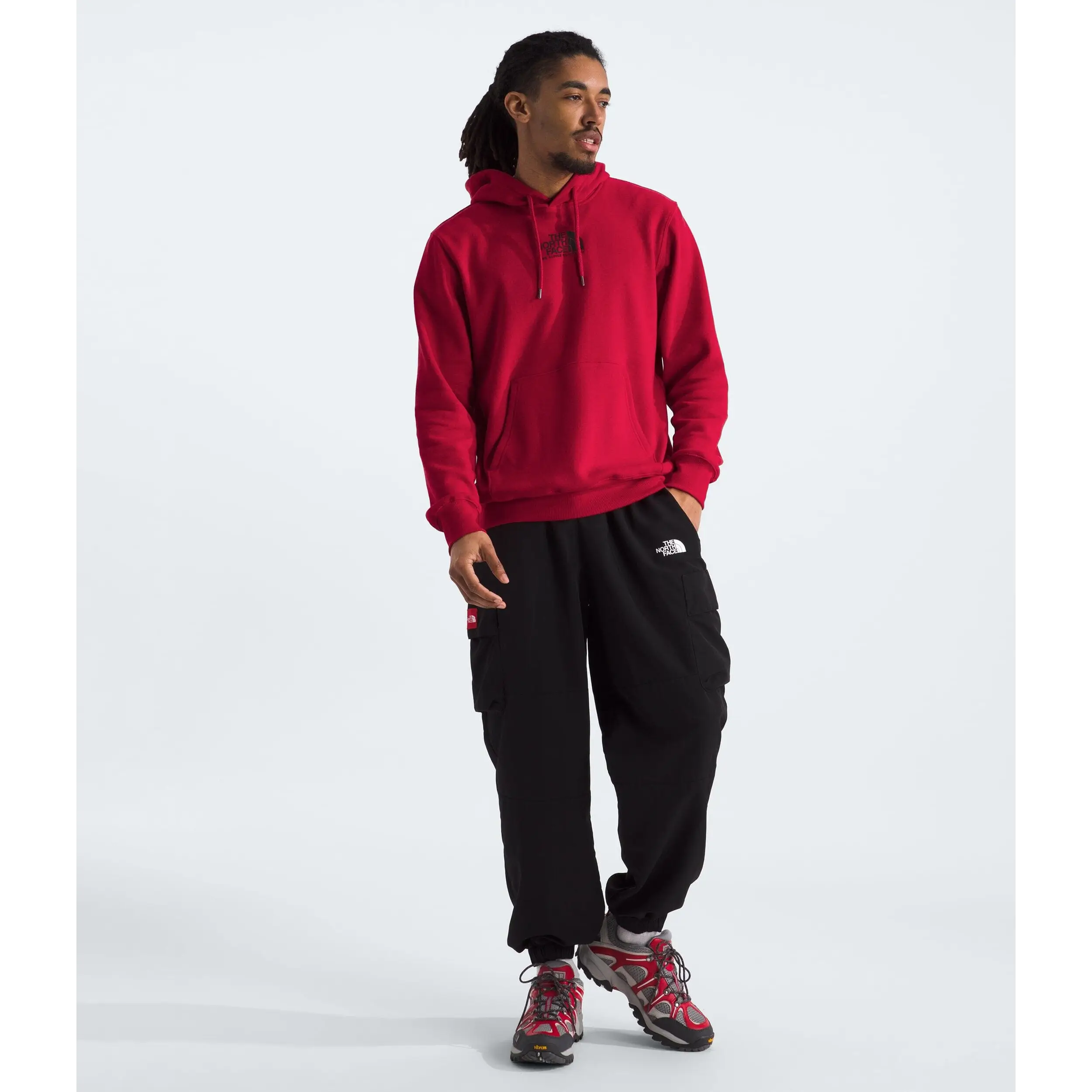 The North Face Fine Alpine Hoodie
