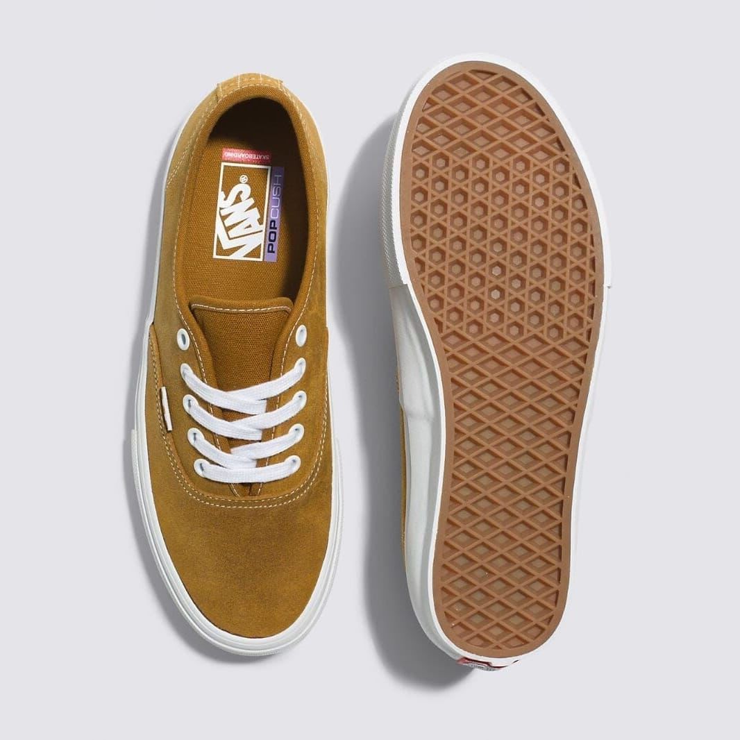Vans Skate Authentic Leather