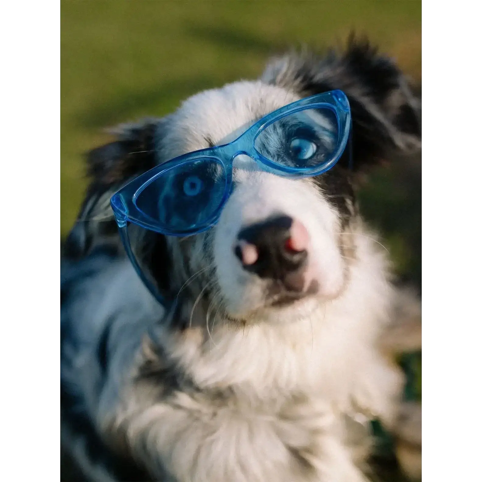 Volcom Knife Sunglasses