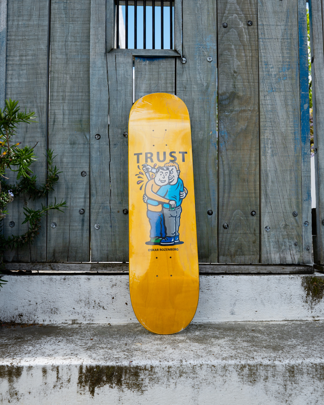 Polar Skate Co. Oski Trust Veneer Skate Deck