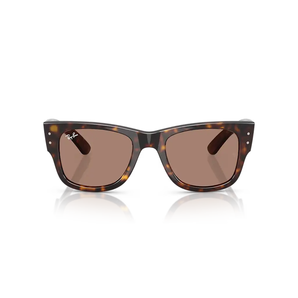 Ray-Ban Mega Wayfarer Sunglasses