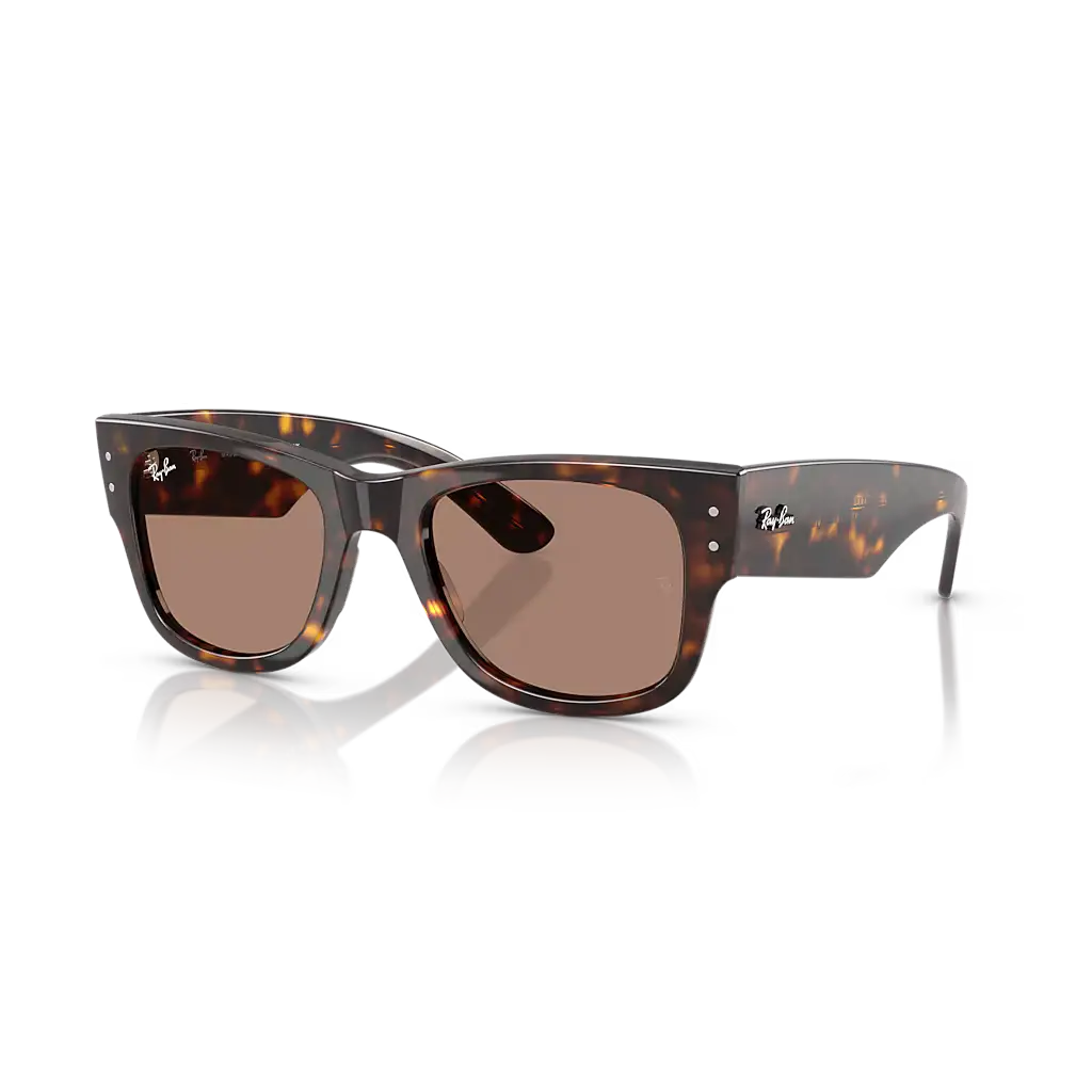 Ray-Ban Mega Wayfarer Sunglasses