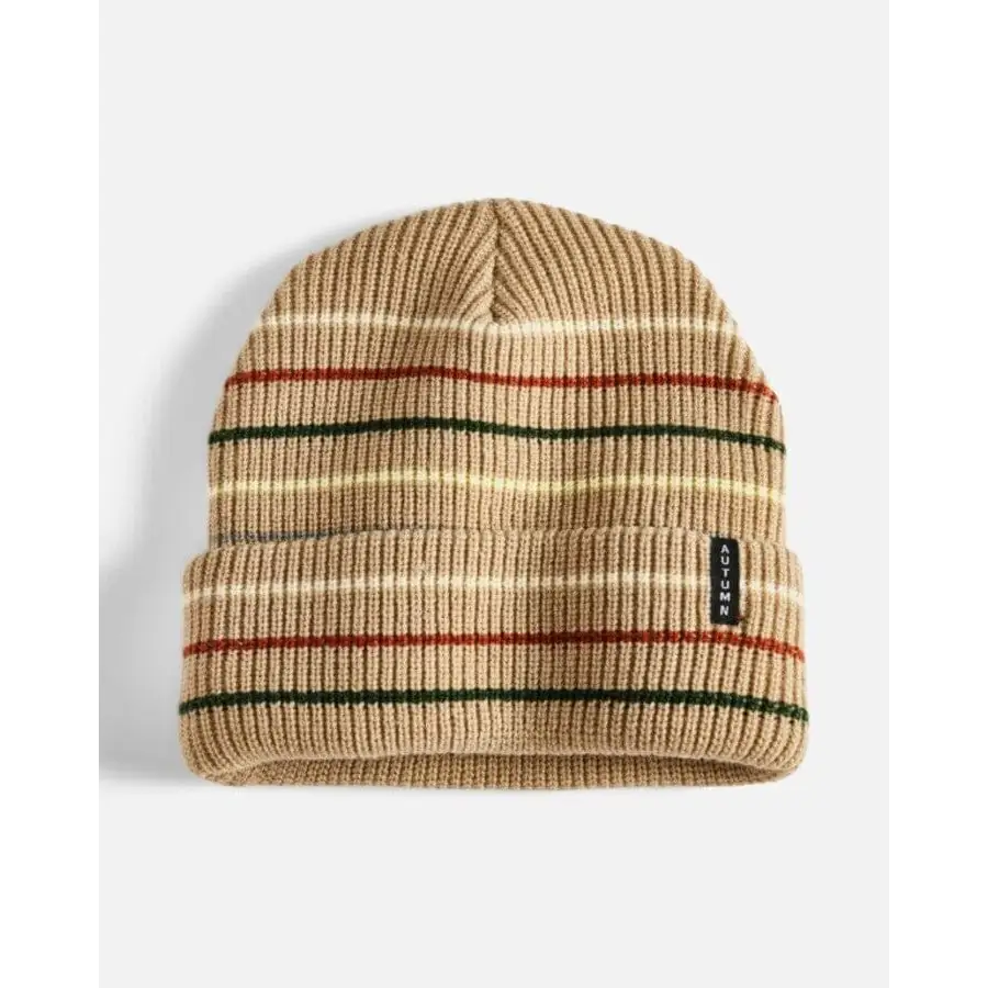 Autumn Multi Stripe Beanie 2025