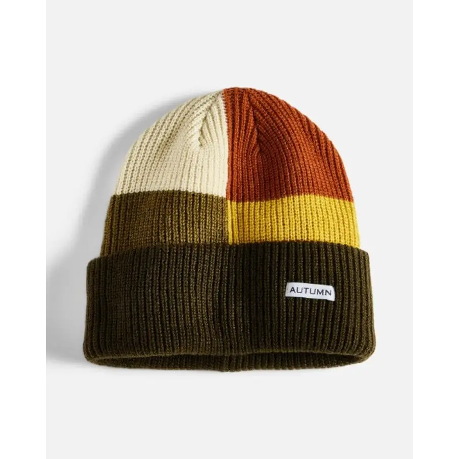 Autumn Patchwork Beanie