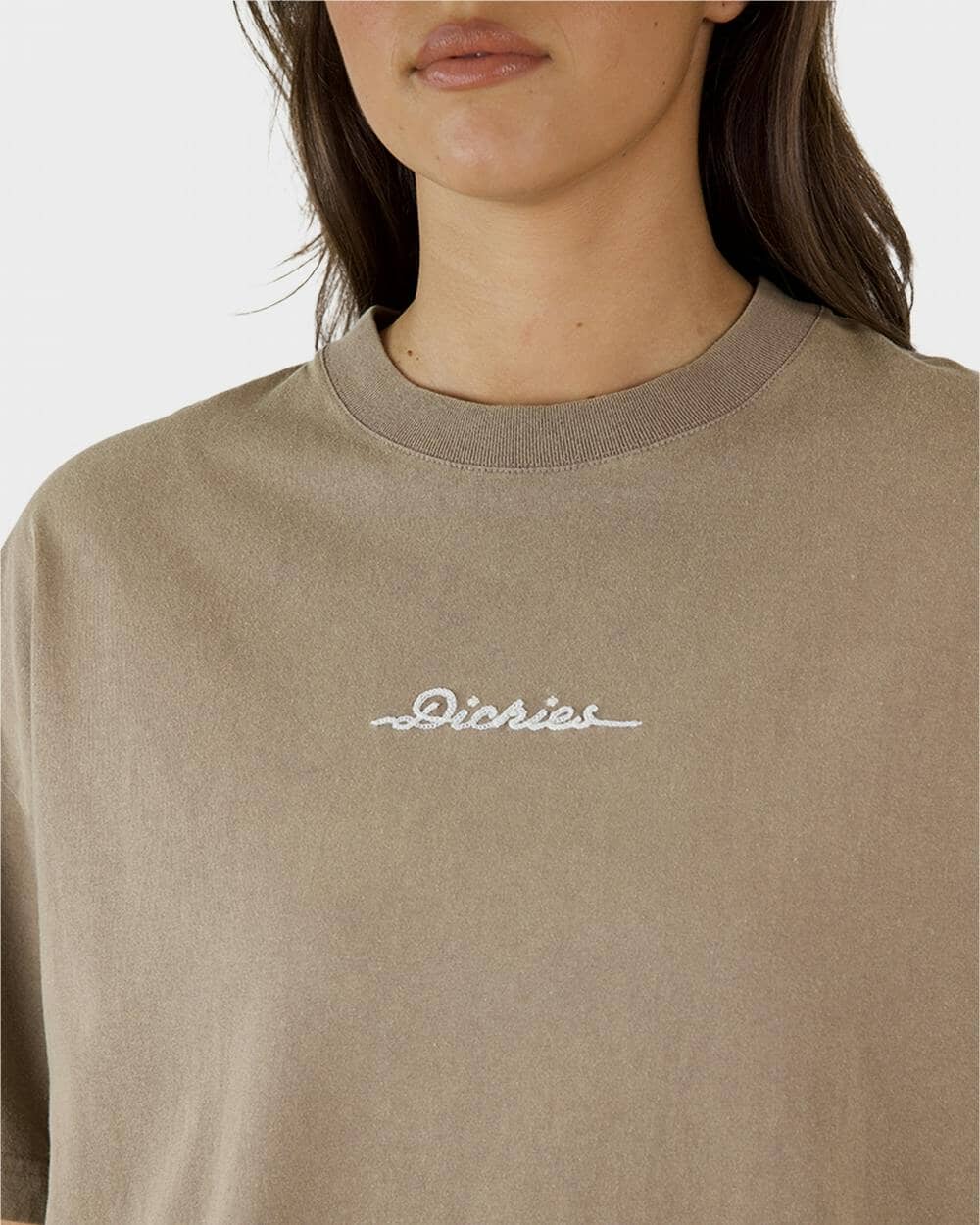 Dickies 330 Horizon Oversized T-Shirt