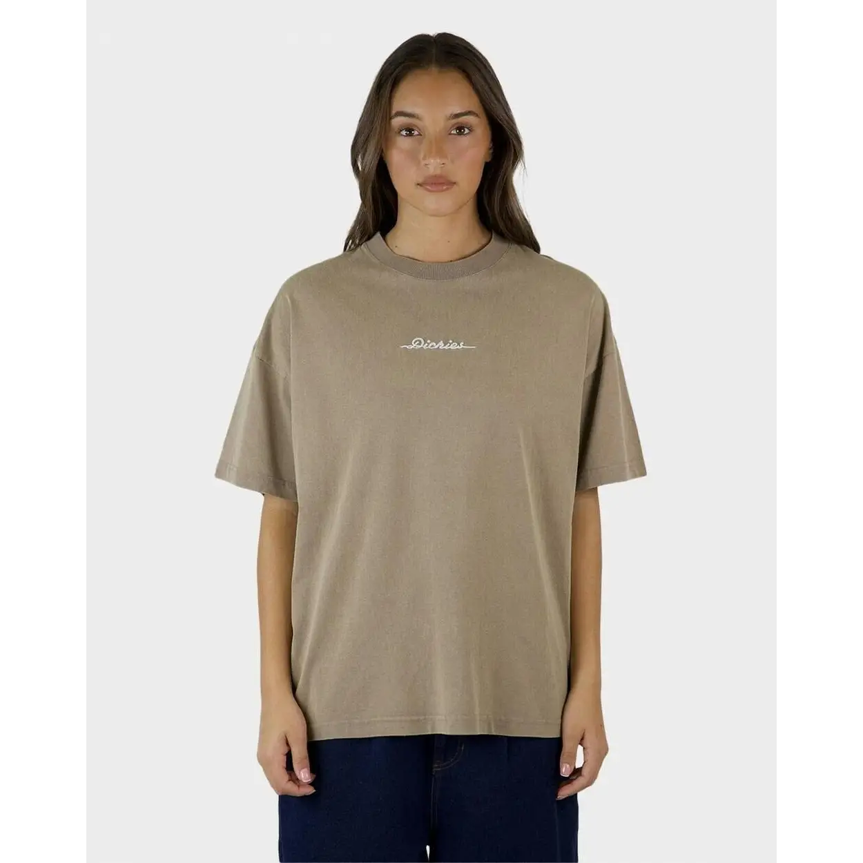 Dickies 330 Horizon Oversized T-Shirt