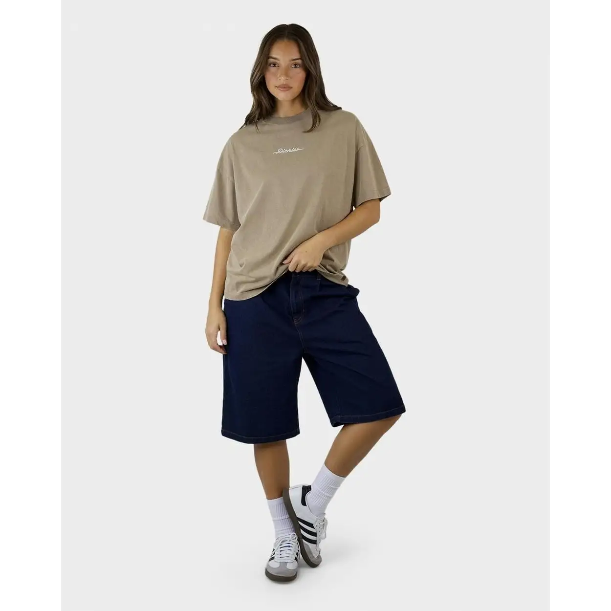 Dickies 330 Horizon Oversized T-Shirt