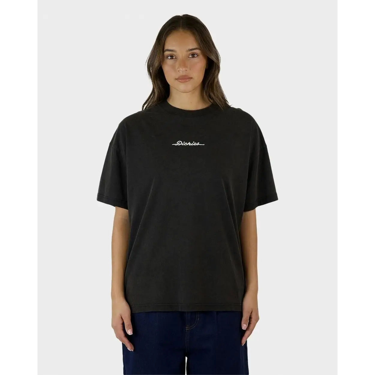 Dickies 330 Horizon Oversized T-Shirt