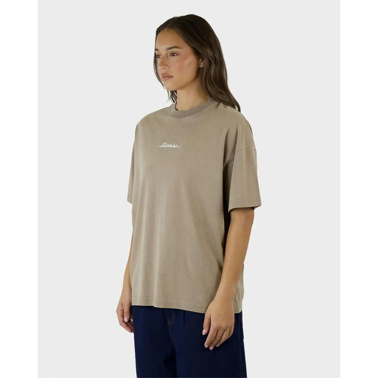 Dickies 330 Horizon Oversized T-Shirt
