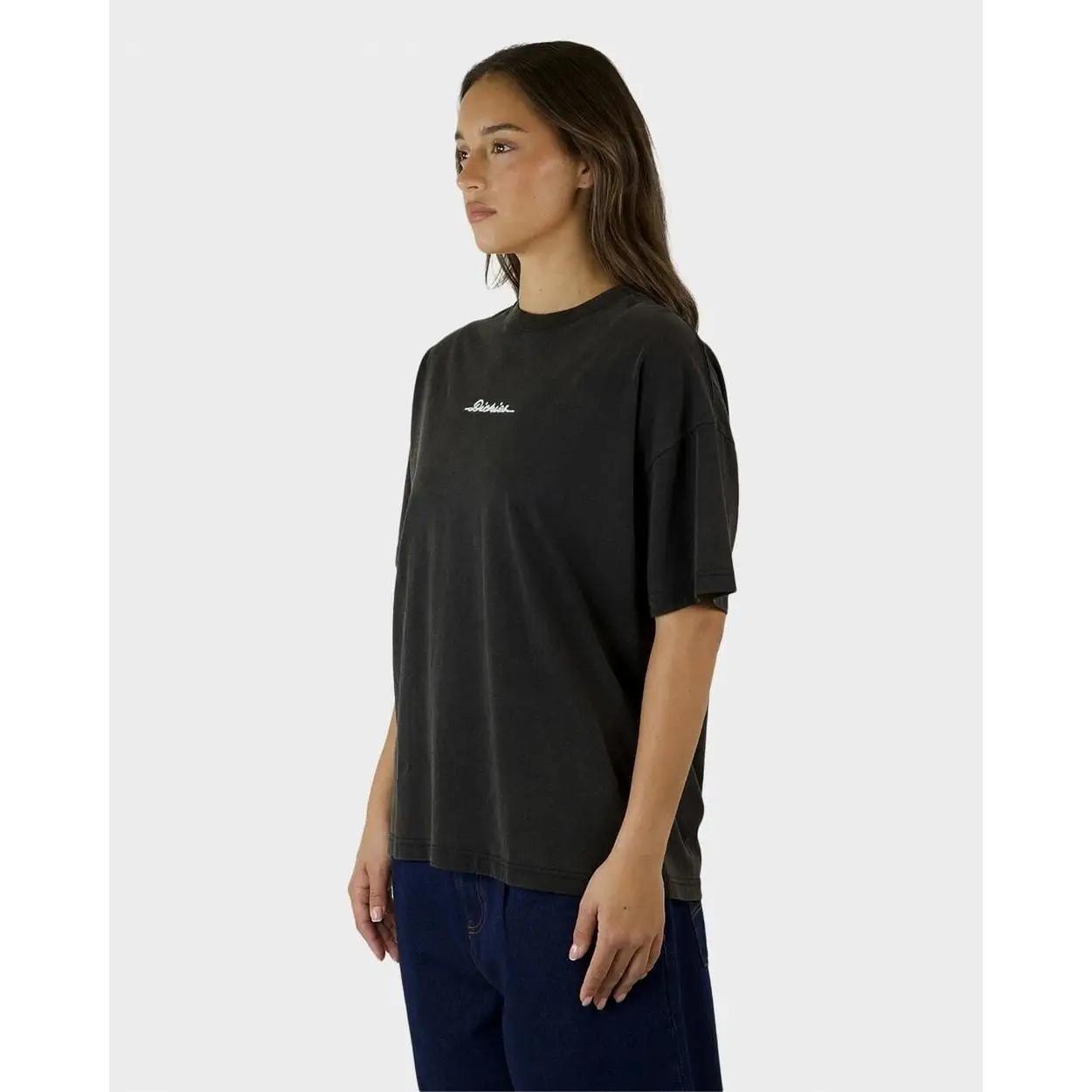Dickies 330 Horizon Oversized T-Shirt