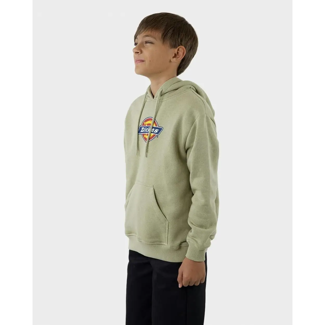 Dickies Classic Standard Youth Hoodie