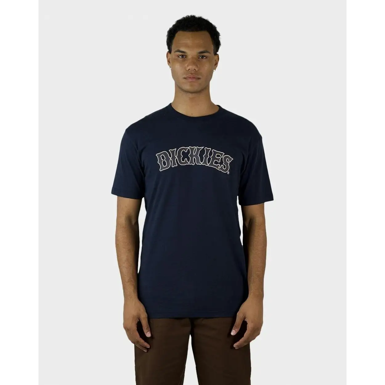 Dickies Old Saloon Regular Fit T-Shirt