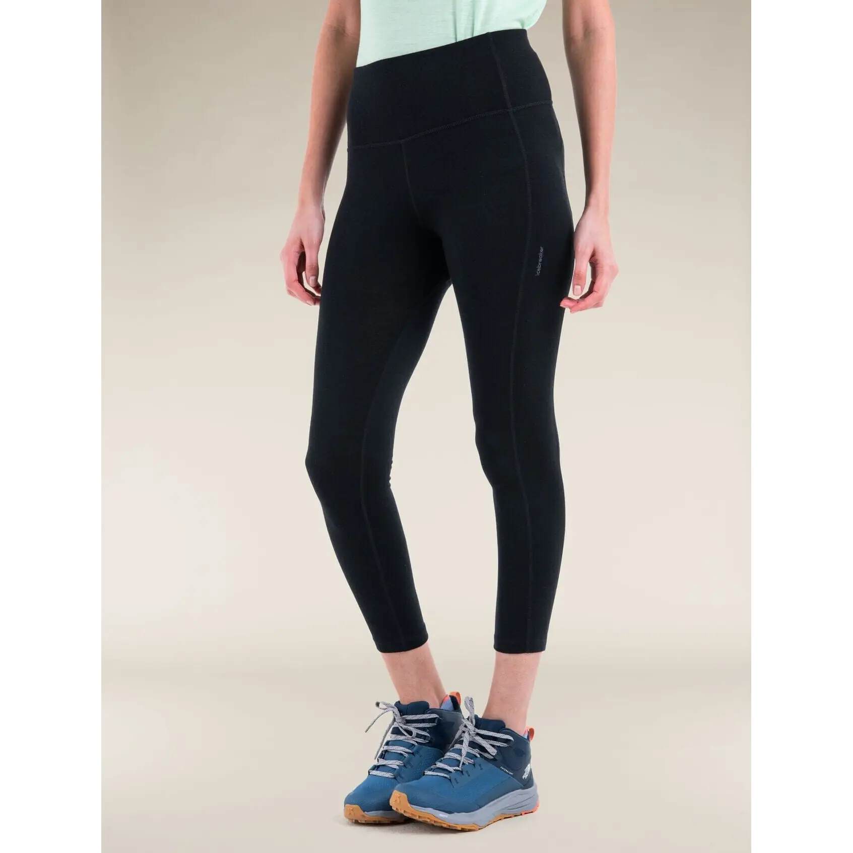 Icebreaker Womens Merino 260 Fastray II 25" High Rise Tights 2025