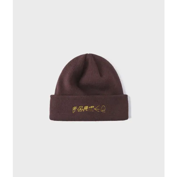 Former Future Beanie