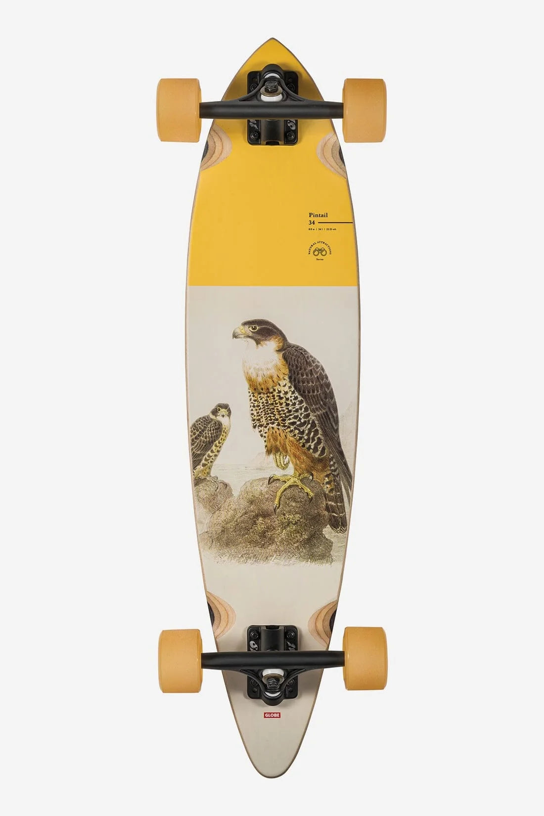 Globe Classic Pintail 34" Longboard Falcon
